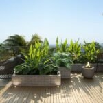 Últimas Unidades de Flat no Cabo Branco