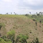 Lote no Alteza em Bananeiras, Lotes de 559 a 3.000m² com Lazer Completo
