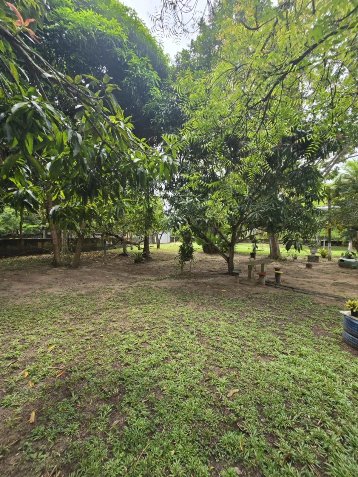 Chácara em Lucena com 4 Quartos, Lazer, 4.140m², Porteira Fechada