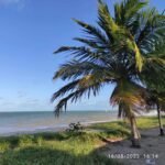 Apartamento beira-mar do Seixas com 2 ou 3 Quartos com Lazer Completo Padrão Alliance