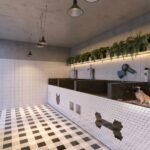 Excelente Lançamento no Miramar com 1, 2 Quartos ou 3 Suítes com Lazer Completo