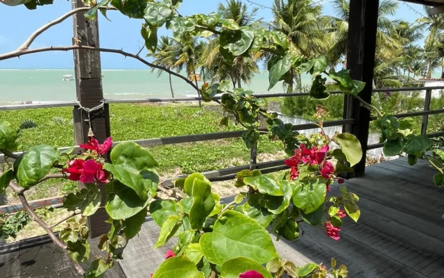 ALUGO Casa Beira-mar em Camboinha com 4 Quartos A Partir de R$ 30.000,00*