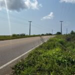 Granja no Conde beira de pista com 11,9 hectares com nascente de água mineral