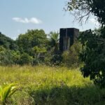 Granja no Conde beira de pista com 11,9 hectares com nascente de água mineral