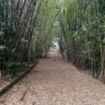 Granja no Conde beira de pista com 11,9 hectares com nascente de água mineral