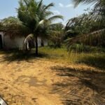 Granja no Conde beira de pista com 11,9 hectares com nascente de água mineral