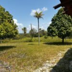 Granja no Conde beira de pista com 11,9 hectares com nascente de água mineral
