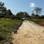 Granja no Conde beira de pista com 11,9 hectares com nascente de água mineral