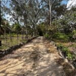 Granja no Conde beira de pista com 11,9 hectares com nascente de água mineral