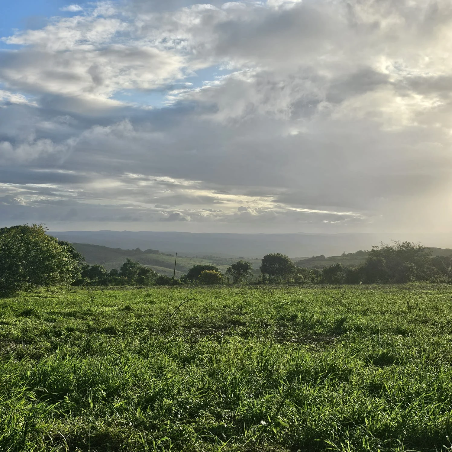 Lotes no Refúgio da Serra em Bananeiras, 287 a 385m² com Lazer Completo