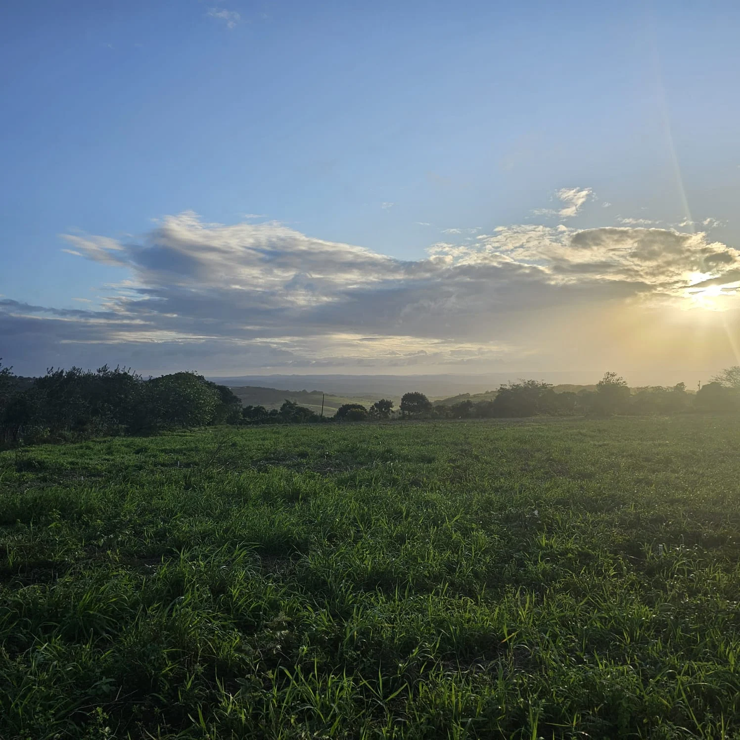 Lotes no Refúgio da Serra em Bananeiras, 287 a 385m² com Lazer Completo