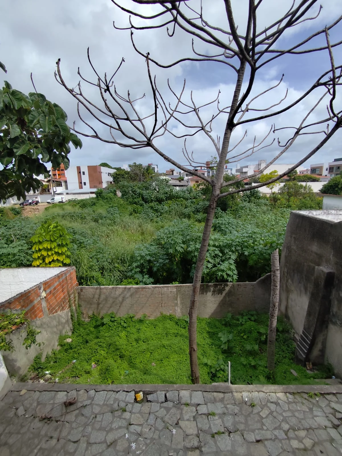 Casa no Jardim Cidade Universitária/Bancários com 7 Quartos sendo 1 Suíte