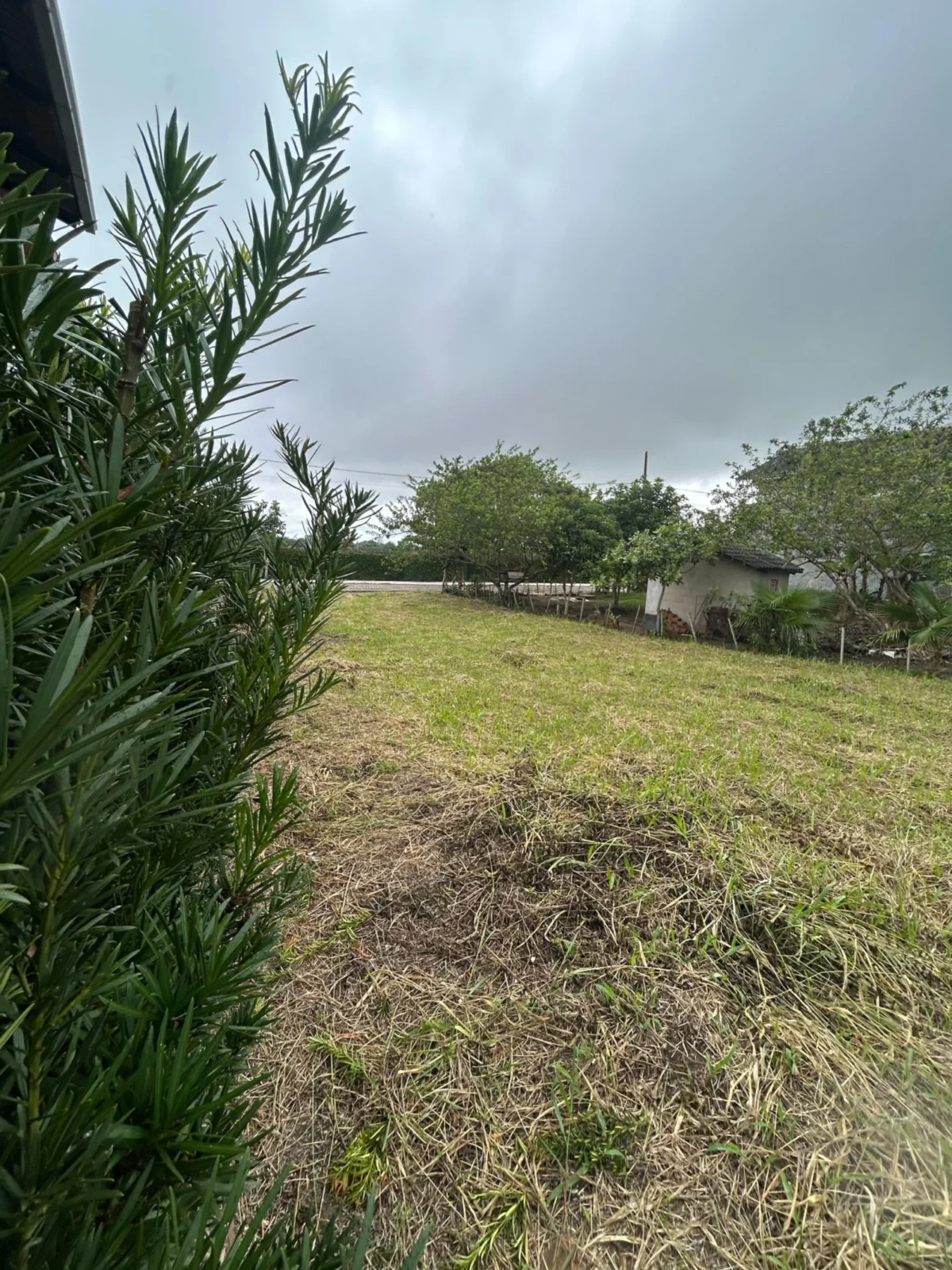 Excelente Lote no Condomínio Yes Banana em Bananeiras com 489m², Lazer Completo