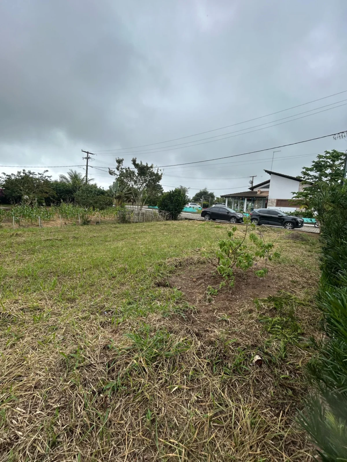 Excelente Lote no Condomínio Yes Banana em Bananeiras com 489m², Lazer Completo
