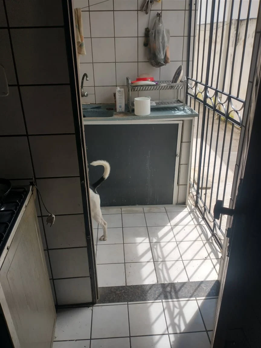 Casa no Jardim Cidade Universitária/Bancários com 4 Quartos sendo 1 Suíte