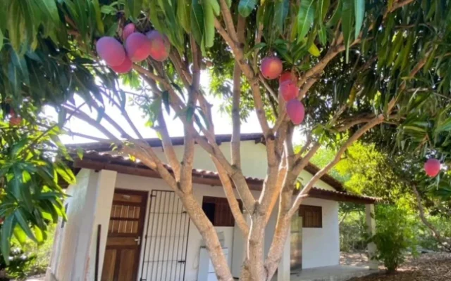 Chácara em Lucena com 4.600m², Casa e Árvores Frutíferas