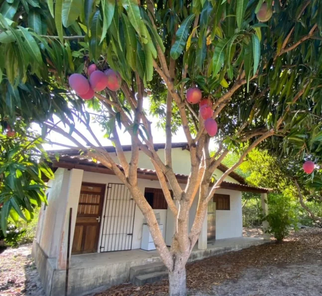 Chácara em Lucena com 4.600m², Casa e Árvores Frutíferas