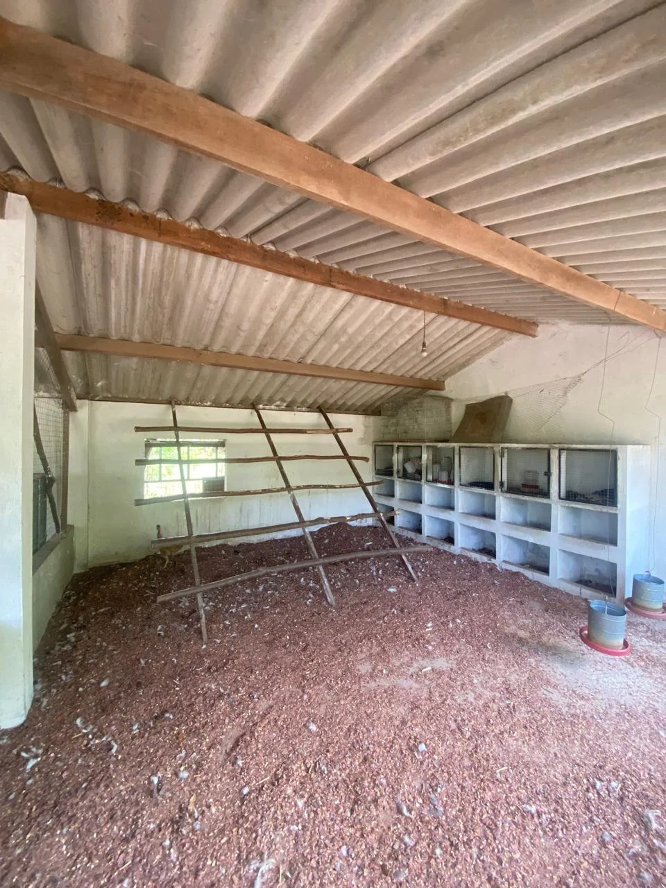 Chácara em Lucena com 4.600m², Casa e Árvores Frutíferas