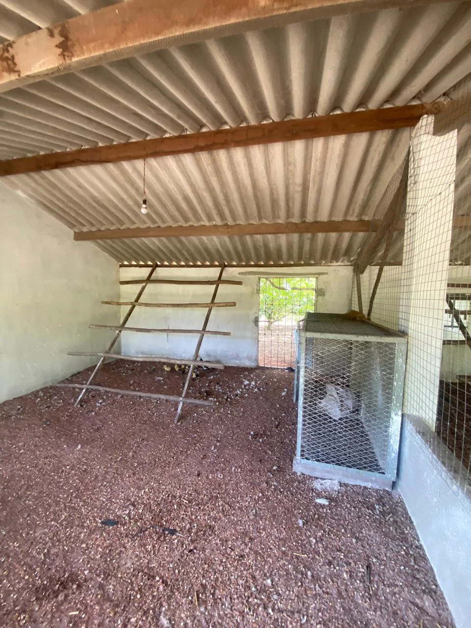 Chácara em Lucena com 4.600m², Casa e Árvores Frutíferas