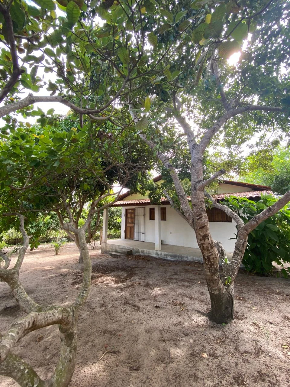 Chácara em Lucena com 4.600m², Casa e Árvores Frutíferas