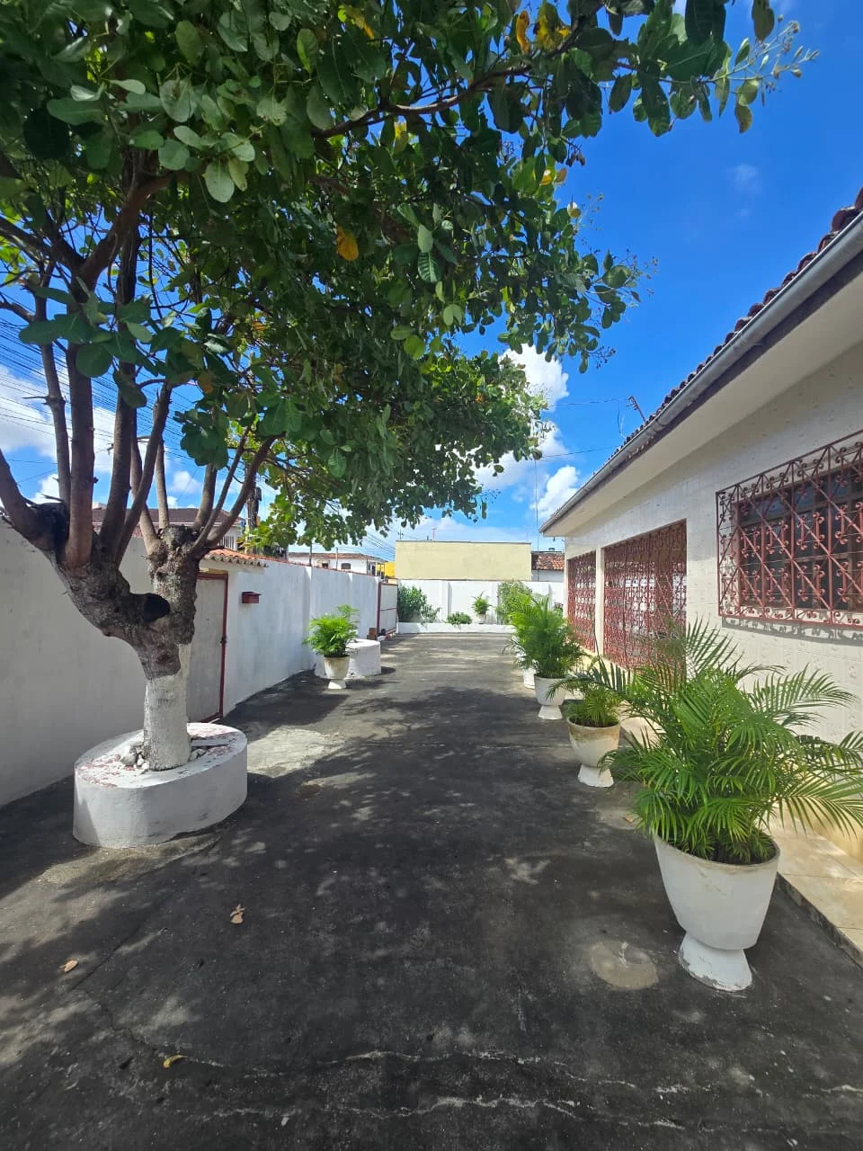 Casa no Centro de Mamanguape com 5 Quartos sendo 2 Suítes e Terreno com 880m²