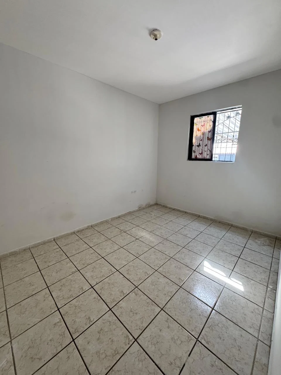 Apartamento Térreo no Jardim Cidade Universitária com 3 Quartos sendo 1 Suíte, 77m²